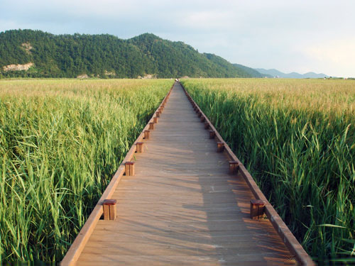 韓国巡業