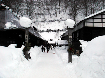 東北