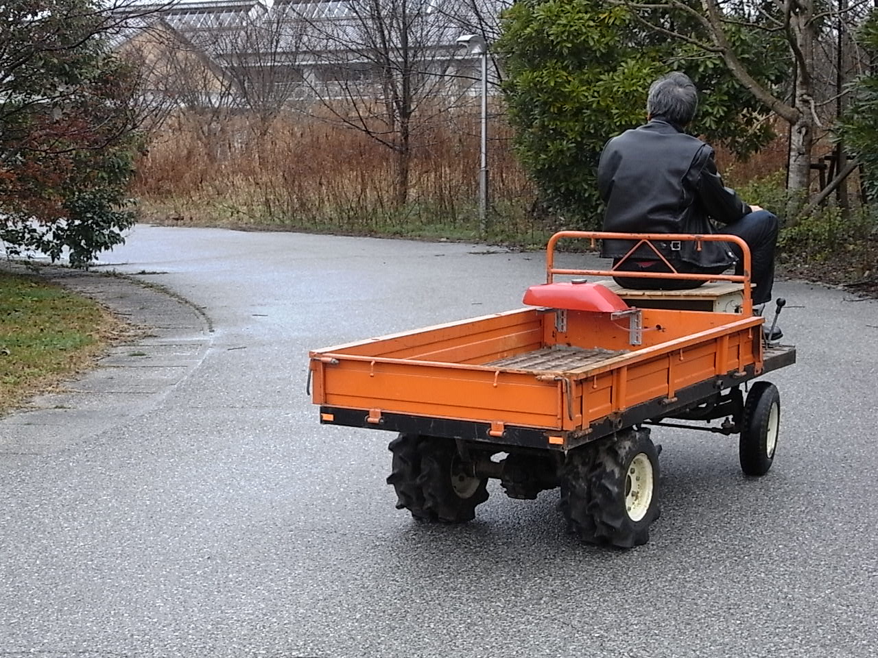 トラ