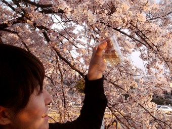 kaori sakura
