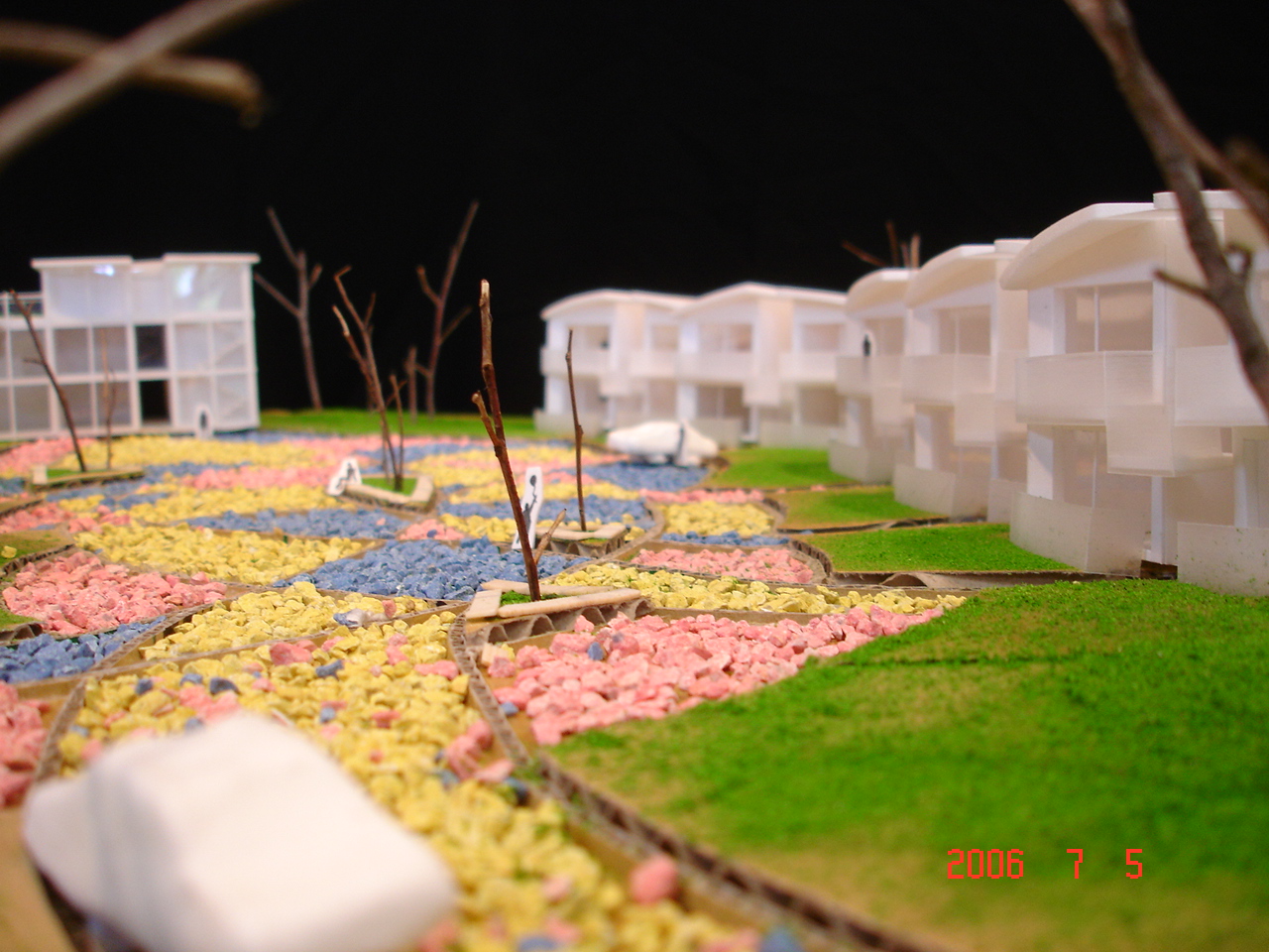 DSC01403.JPG