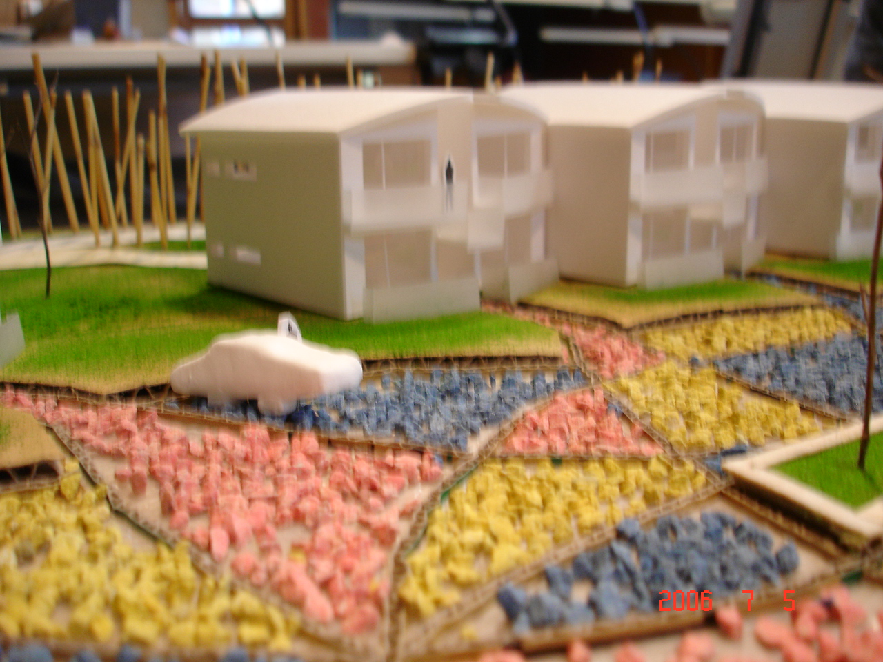 DSC01408.JPG