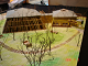 DSC01417_thumb.png