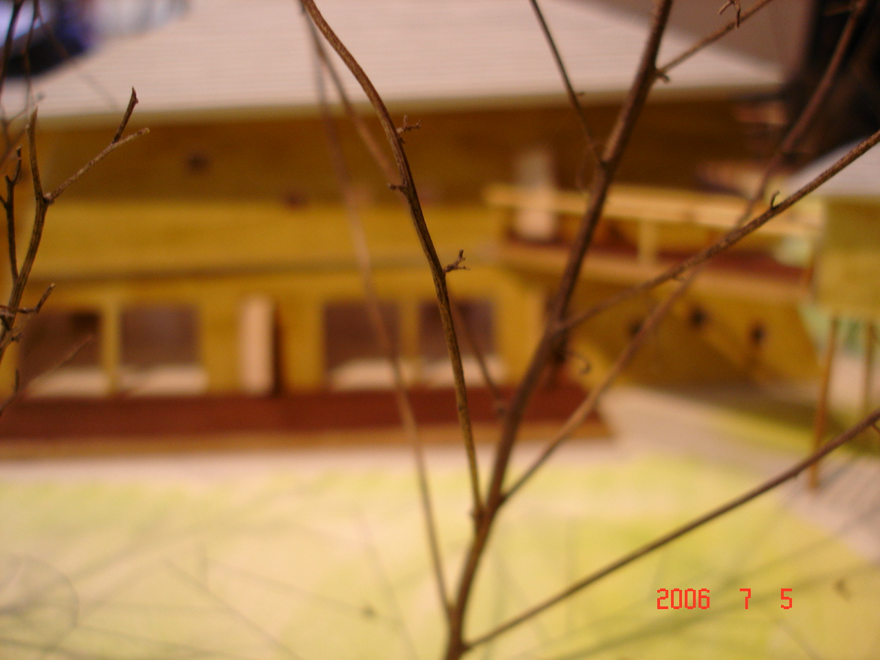 DSC01418.JPG