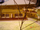 DSC01418_thumb.png