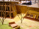 DSC01419_thumb.png