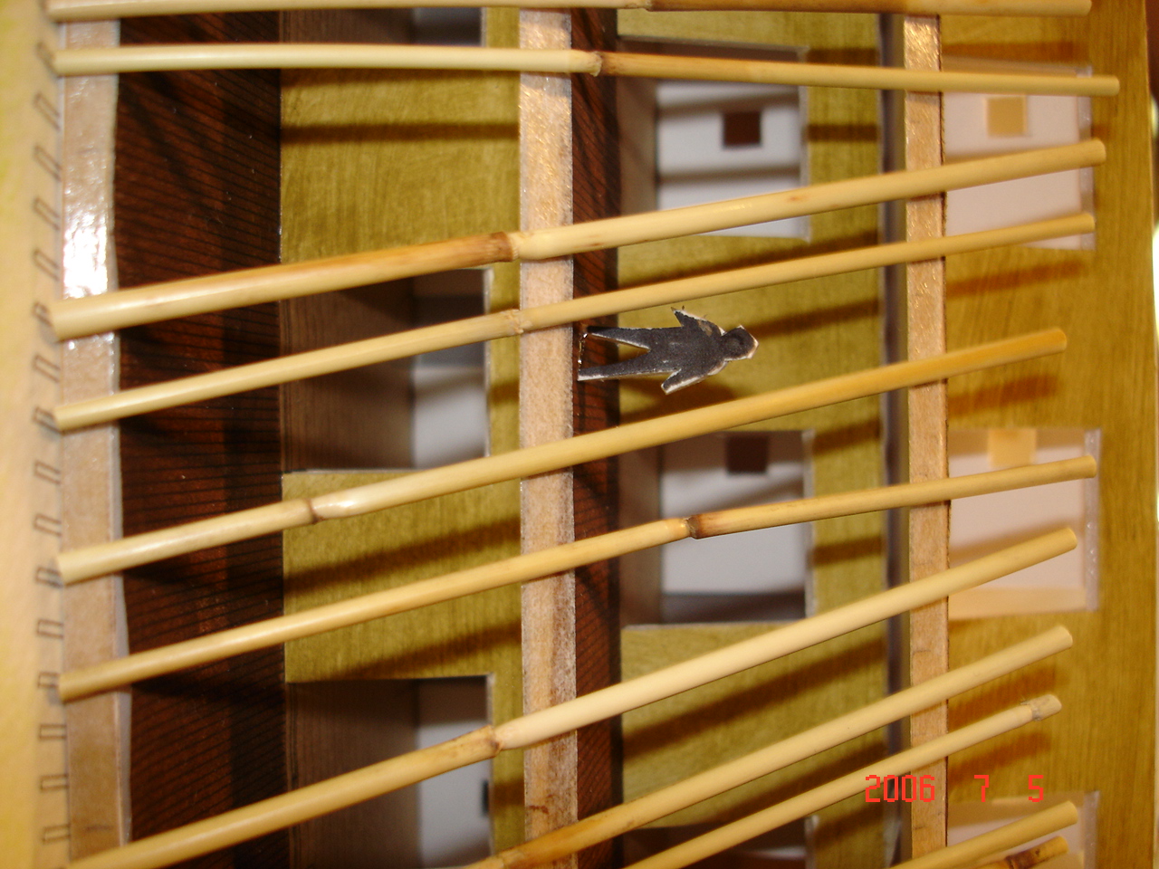 DSC01421.JPG
