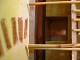 DSC01424_thumb.png