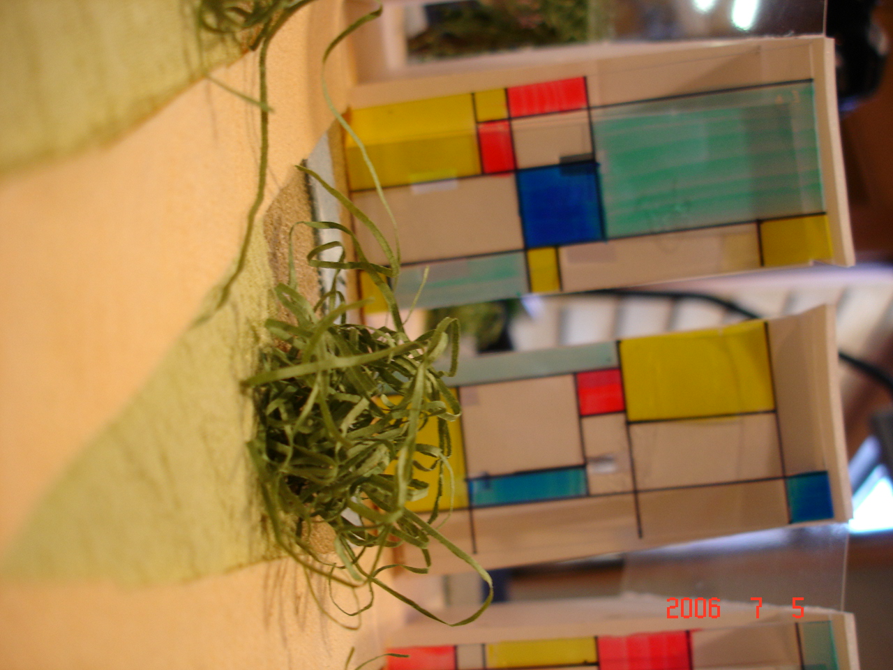 DSC01466.JPG