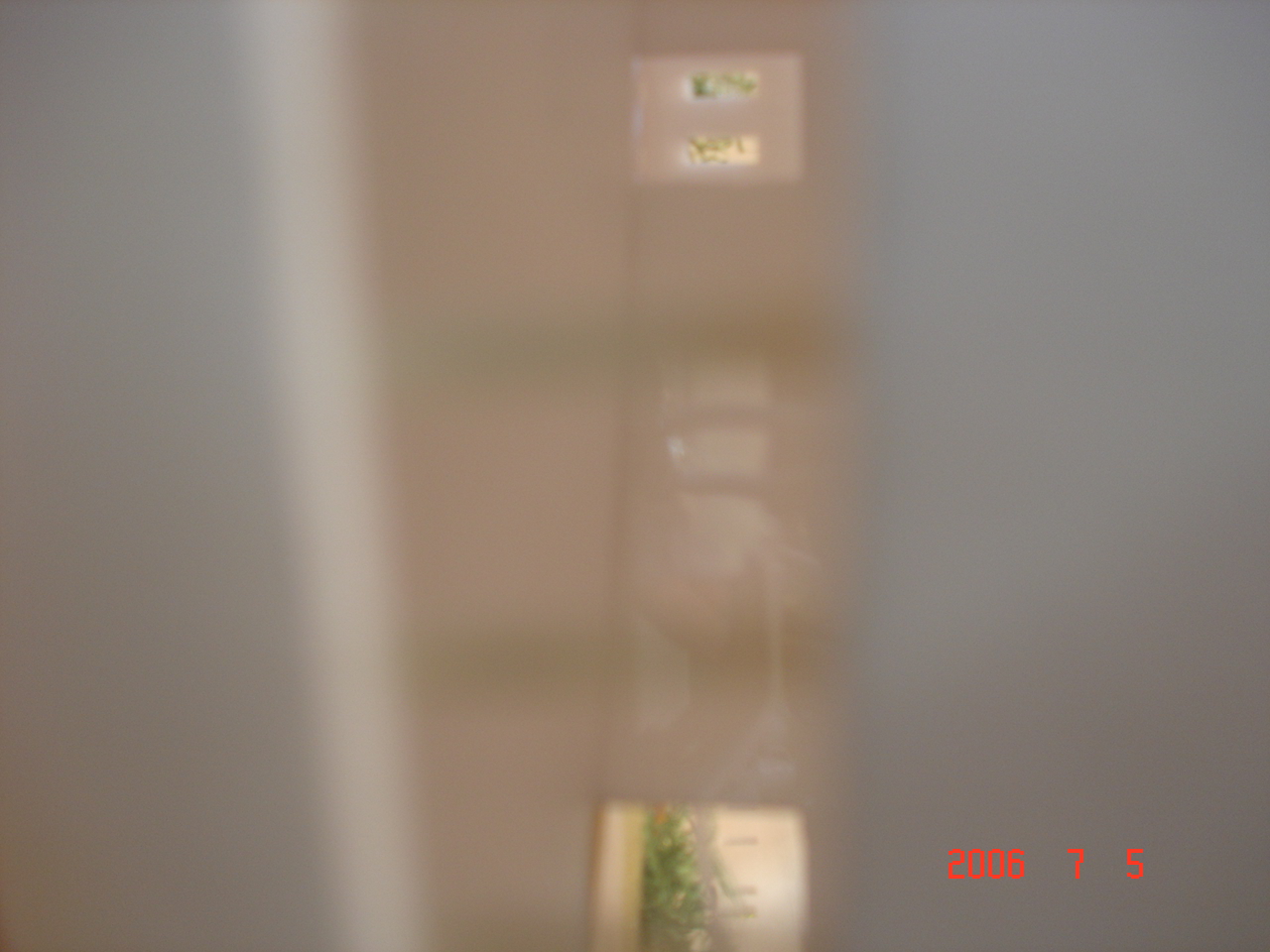 DSC01469.JPG