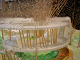 DSC01471_thumb.png