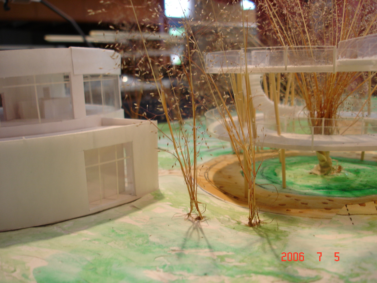 DSC01477.JPG