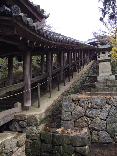 hasedera.jpg